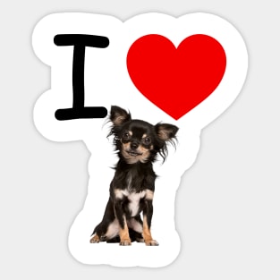 I HEART FLUFFY Chihuahua Sticker